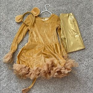 Golden Lion Costume for Kids